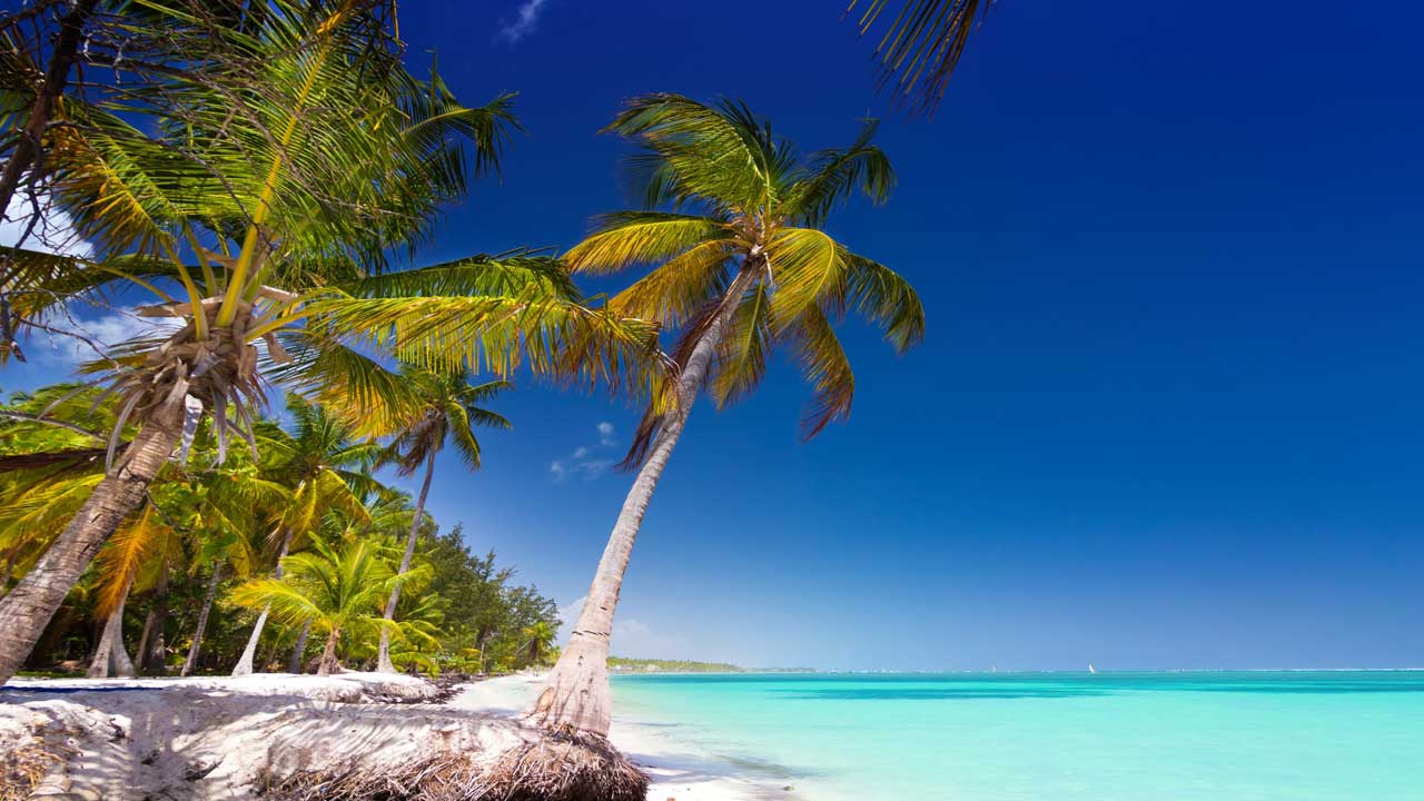 2 Descubre la magia del Caribe con nuestro paquete a Punta. Disfruta de 7 noches de lujo con Todo Incluido en el Iberostar Selection Bávaro Suites.